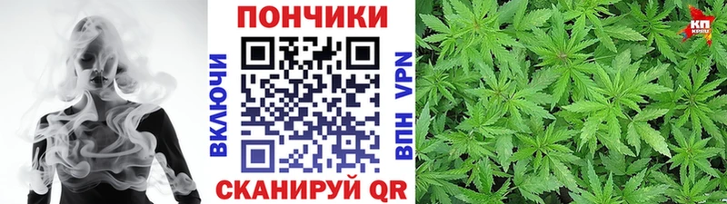 Купить закладки  Дедовск  МАРИХУАНА сатива 